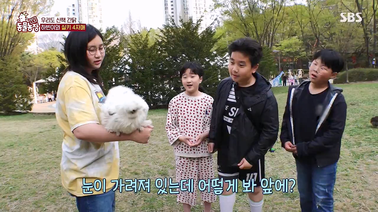 TV 동물농장.E1175.240610p-NEXT.mp4_20240609_160254.755.jpg