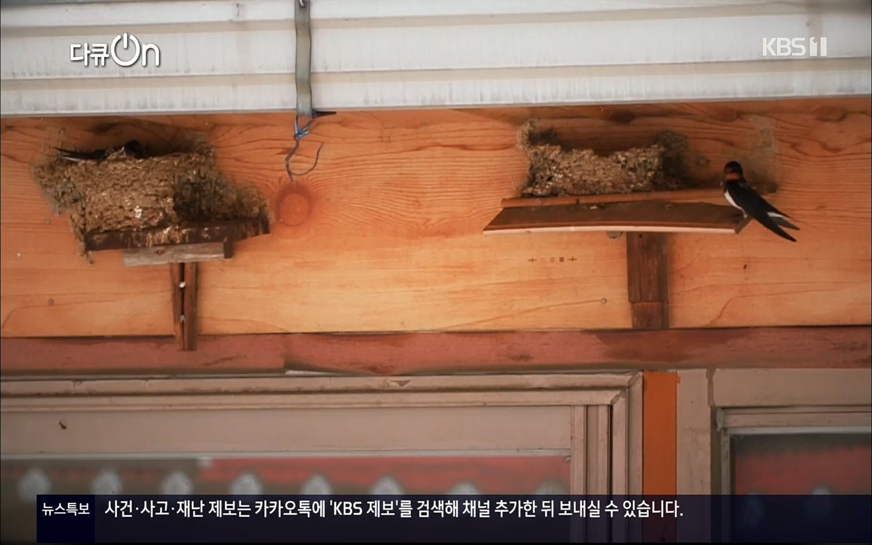 다큐 On.E143.220610p.H264-F1RST.mp4_20220613_200536.913.jpg