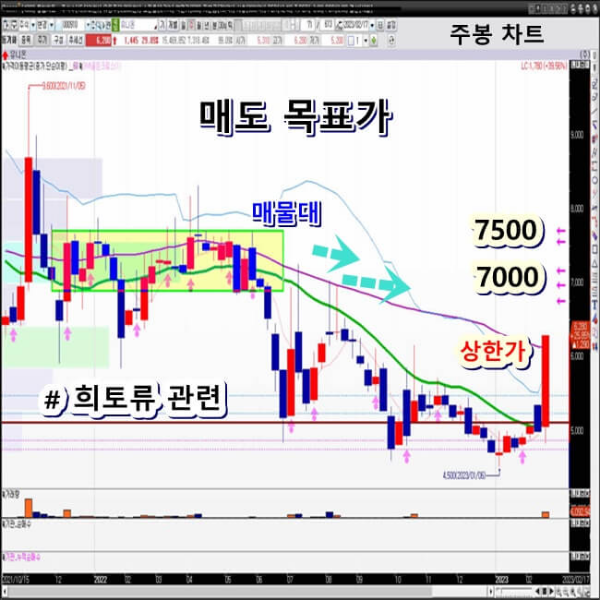 유니온-주봉-차트