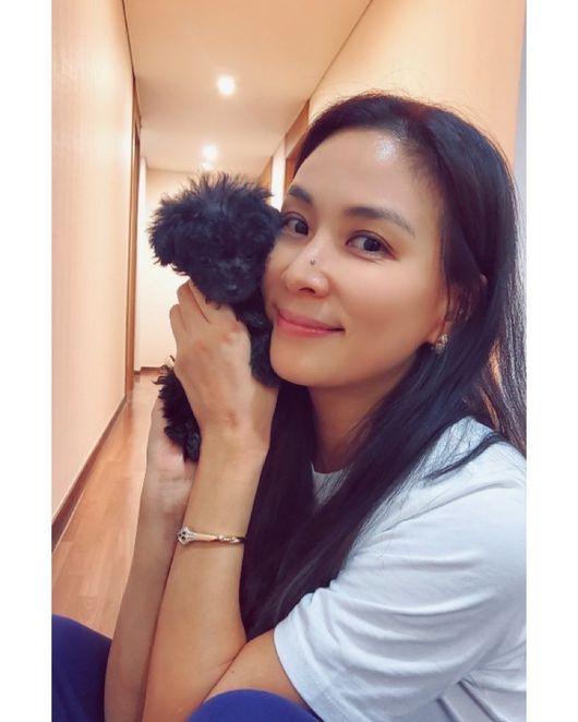  장동건의 여자 고소영과 고양이