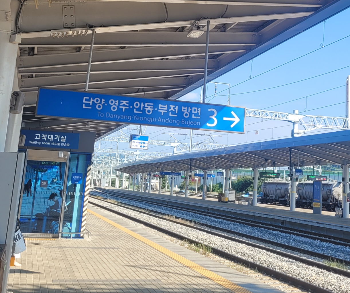  영주 맛집 참한집 후기