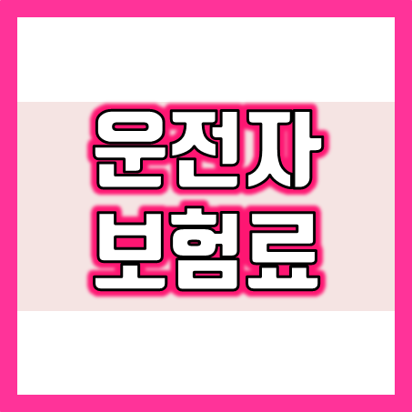  운전자보험 가격 실화? 운전자보험료 비싸지 않게 5천원 선으로 가입하세요!