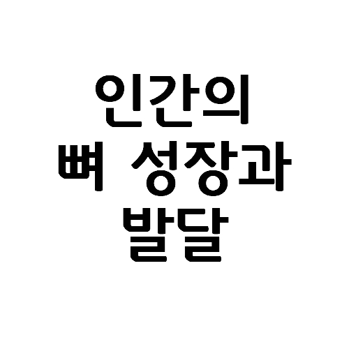  운동역학으로 보는 인간의 뼈 성장과 발달