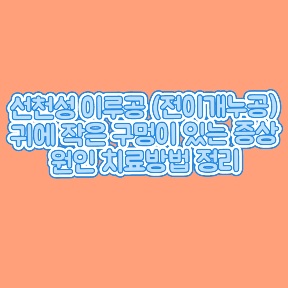 선천성-이루공-원인-전이개누공-증상