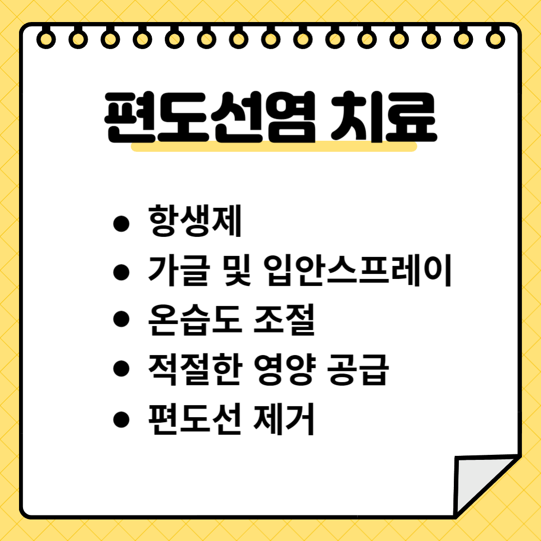 편도선염 치료