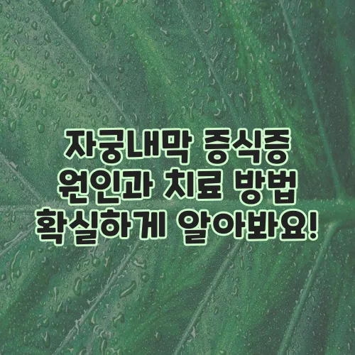 자궁내막 증식증 원인과 치료 방법 확실하게 알아봐요!