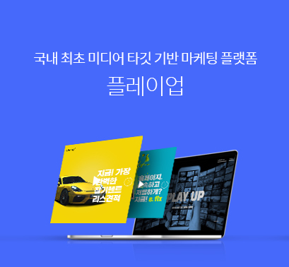 플레이업