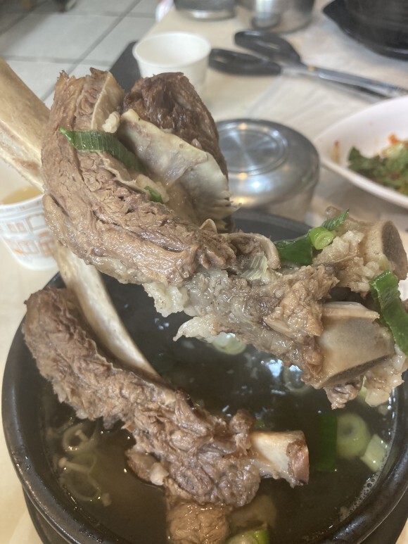  전남 강진 황칠 코리아에 가다 ~