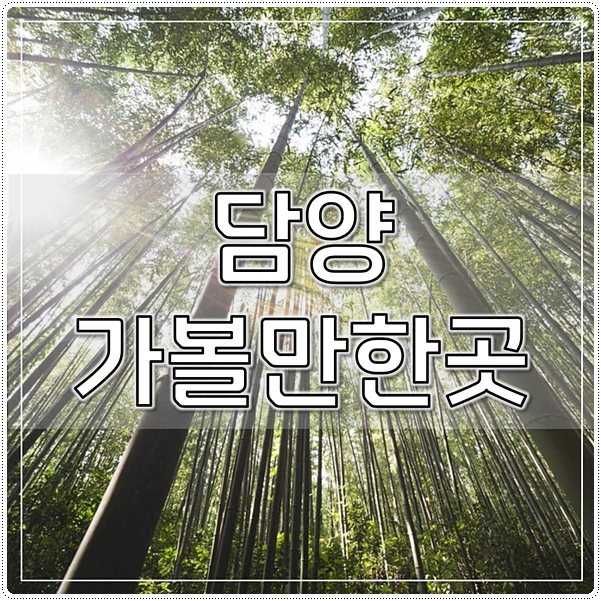  담양 가볼만한곳 전문가선정 TOP7