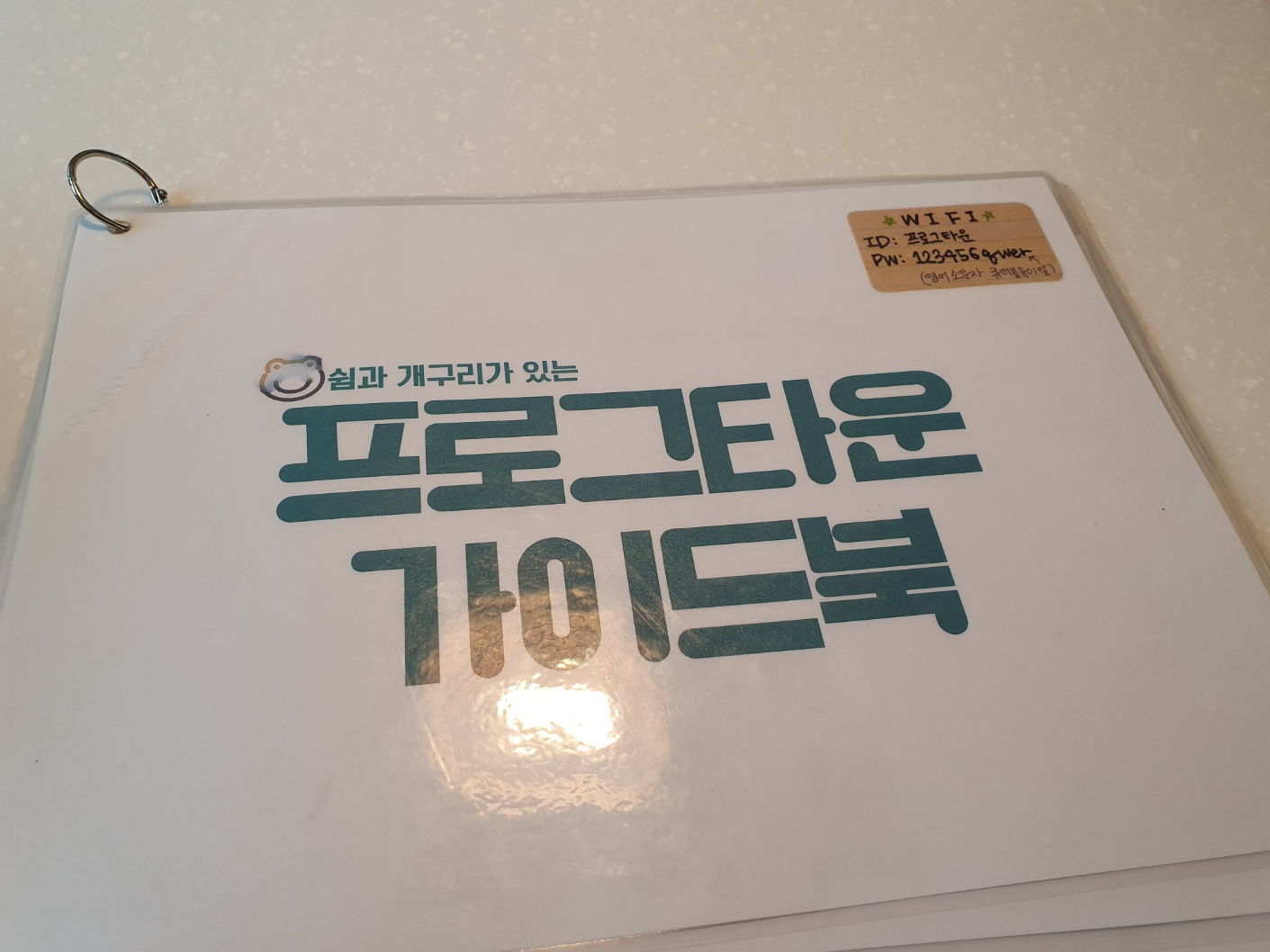 함안 프로그타운