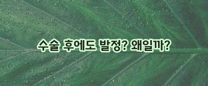고양이 중성화수술 후 발정 꼼꼼히 이해하고 관리해야 합니다!
