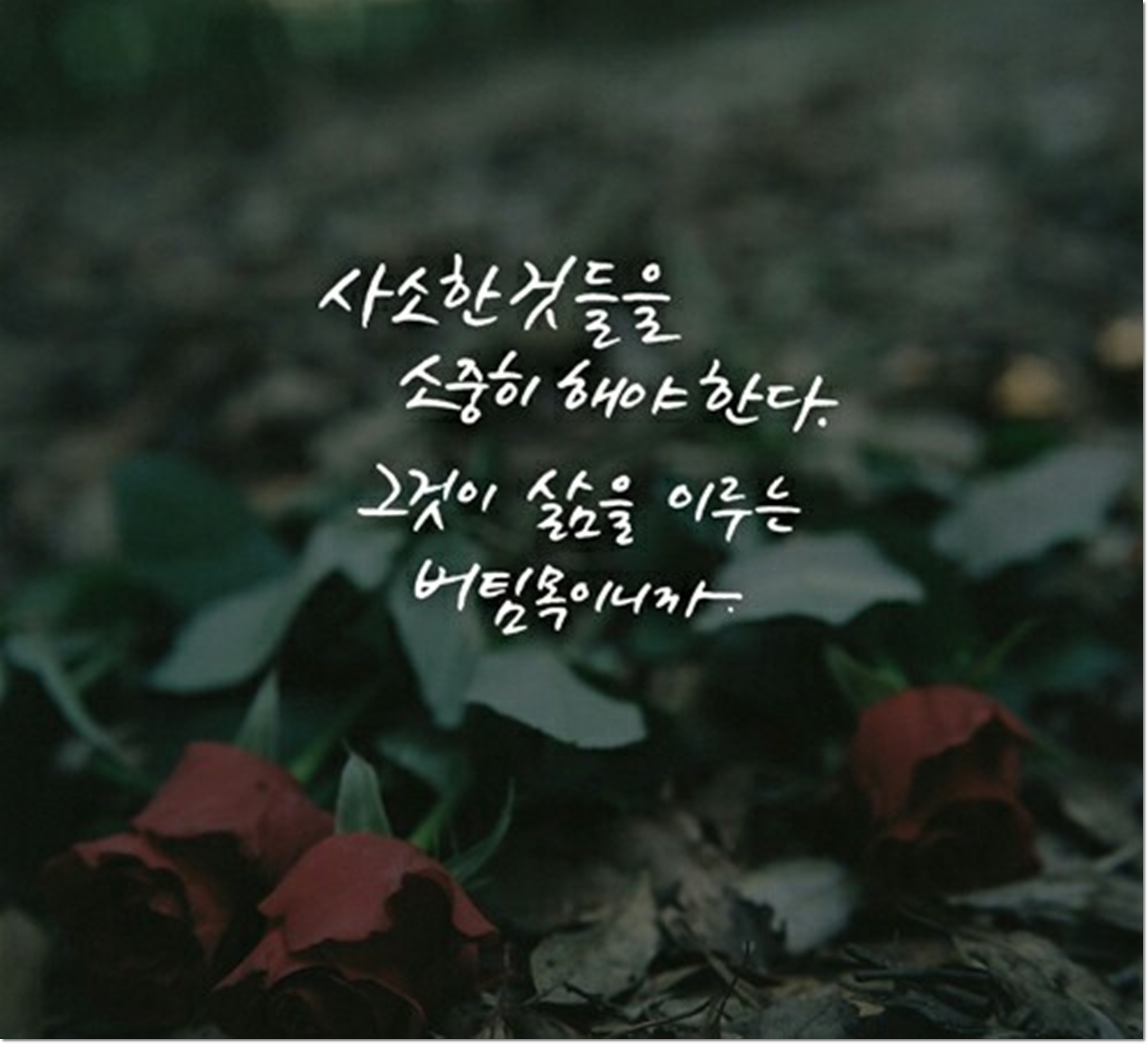 인생 명언 좋은글 짧은 명언 글귀 모음 인생 명언 좋은글 짧은 명언 글귀 모음