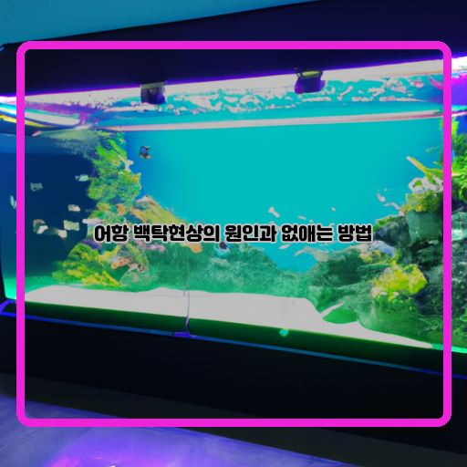  「어항 백탁현상」, 해결책을 알려드립니다!