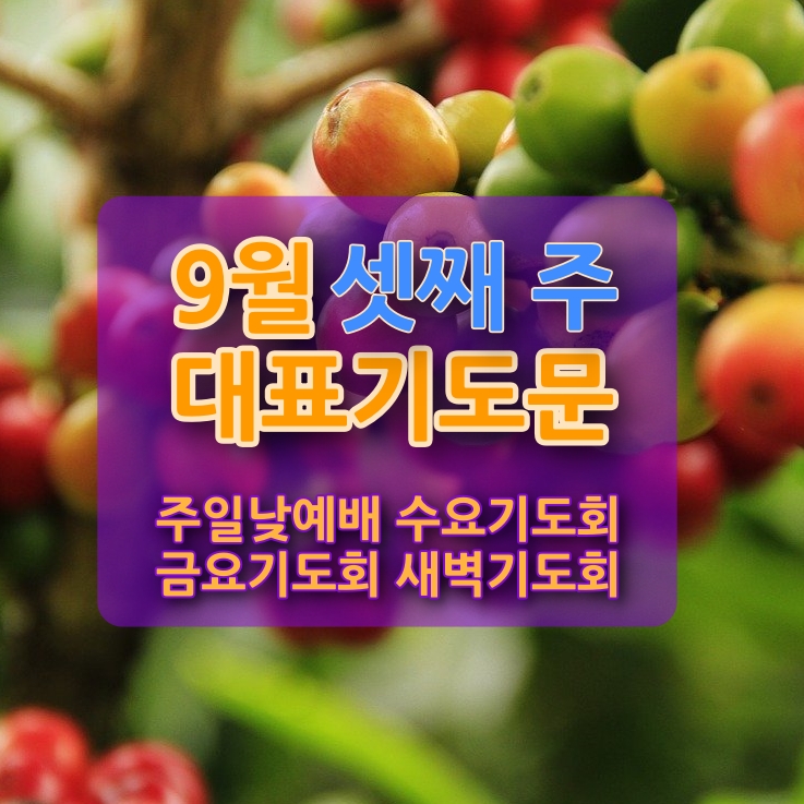  주일낮예배대표기도문, 수요기도문,금요기도문,새벽기도문(9월 셋째 주)