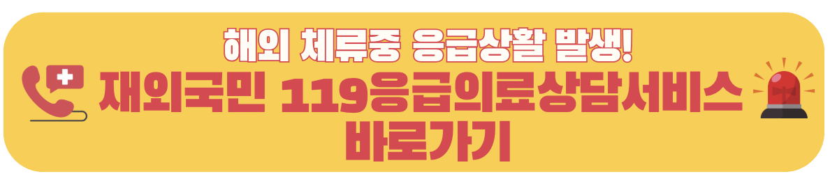 해외 체류 중 응급상황 재외국민 119응급의료 상담서비스 안내 배너