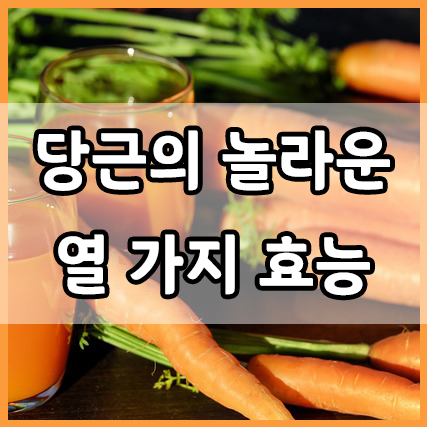  당근의 놀라운 열 가지 효능