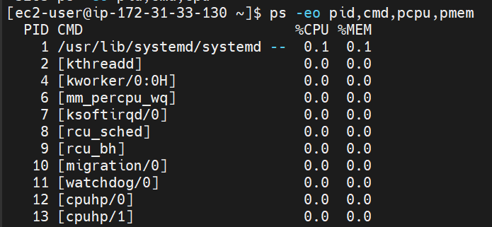 ps -eo pid&#44;cmd&#44;pcpu&#44;pmem