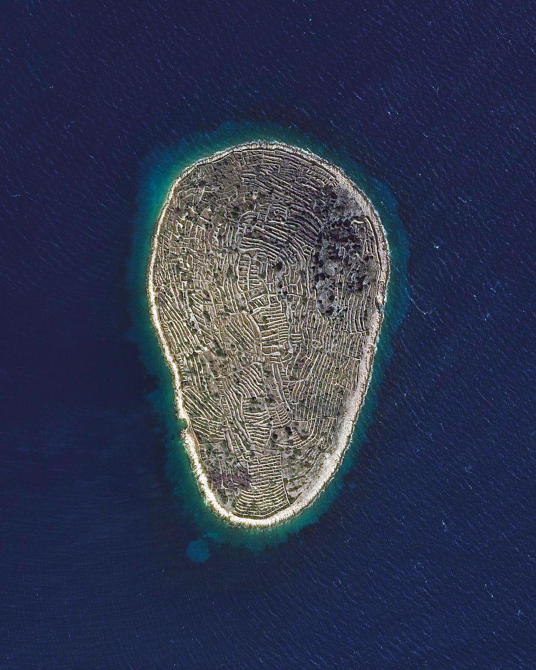 img.jpg