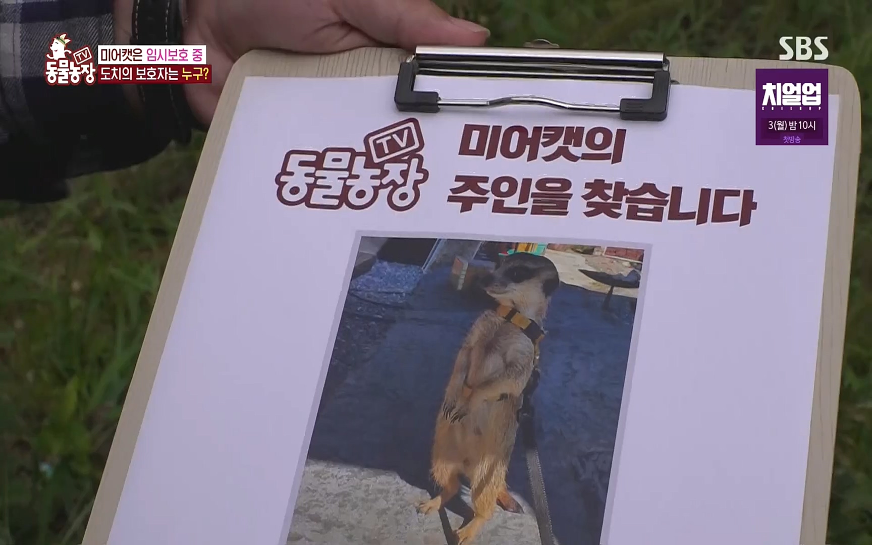TV 동물농장.E1088.220925p.H264-F1RST.mp4_20220925_174410.289.jpg
