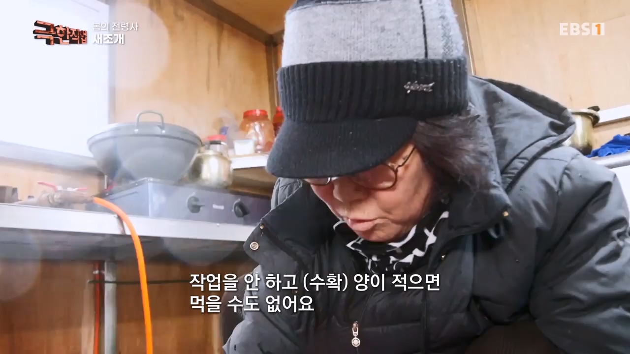 TV - 전 국민의 평생학교 EBS봄의 전령사! 새조개, 미나리, 주꾸미.mp4_20240316_171247.633.jpg