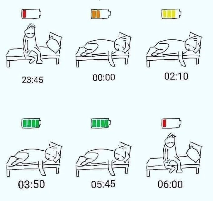  직장인 체력 회복 방법