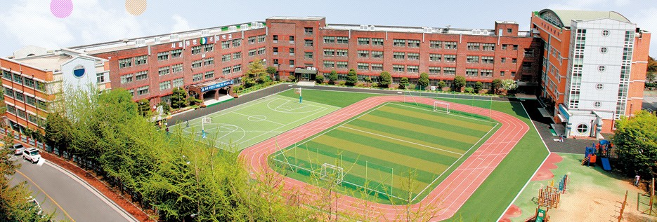 서울 초등학교 순위