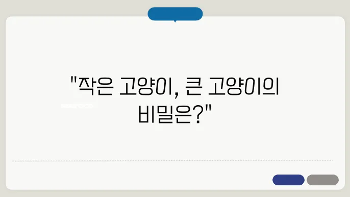 작은 고양이 vs 큰 고양이, 성격과 생활 스타일 차이점 완벽 가이드