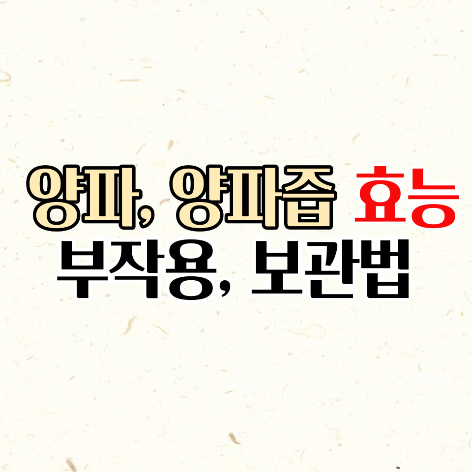  양파즙 효능 부작용, 양파 효능 및 보관법 체크하고 드세요