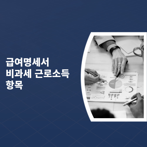  급여명세서 비과세 근로소득 항목
