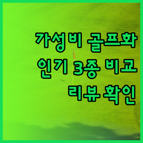 가성비 골프화는 어떤 제품일까? 3가