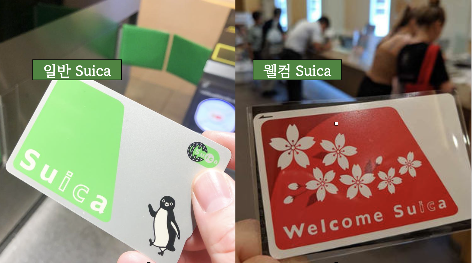  일본 여행, 일반 스이카(Suica) & 웰컴 스이카 장단점 비교