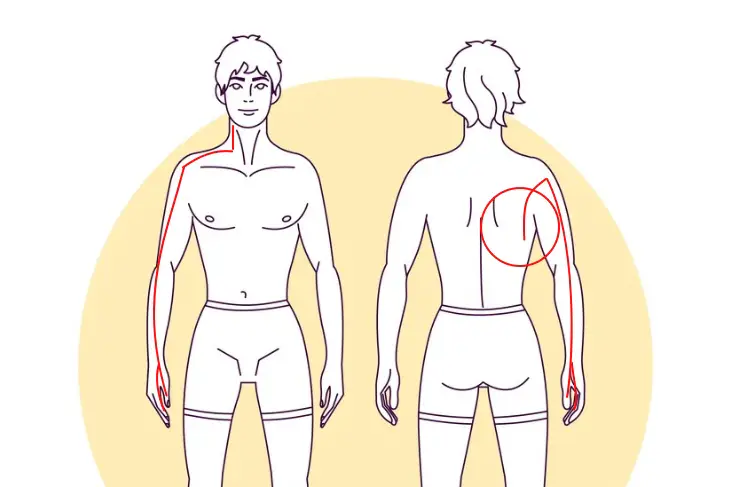 목디스크-견갑골-어깨-팔-손가락-통증