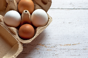계란별로 색깔이 다른 이유와 맛의 차이에 대하여.