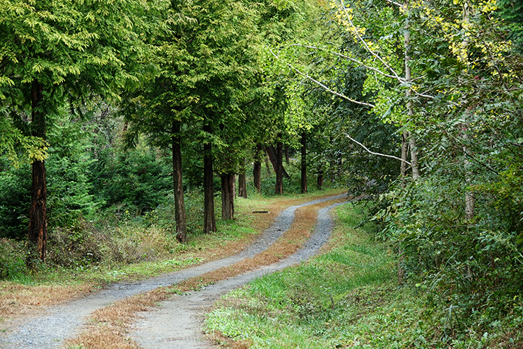 충남 걷기 좋은 숲길 국내여행 걷기 좋은 길, 41