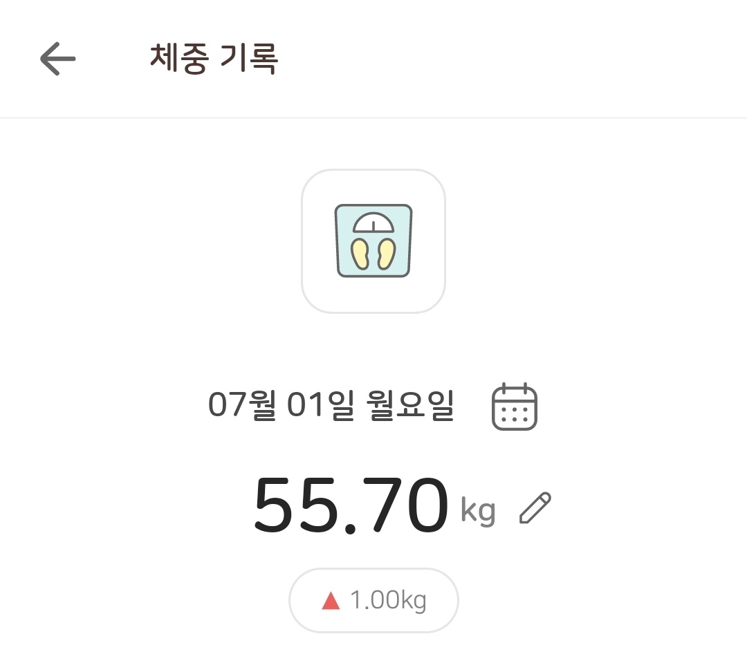 임산부 붓기차 다이어트차 내돈내산 후기21