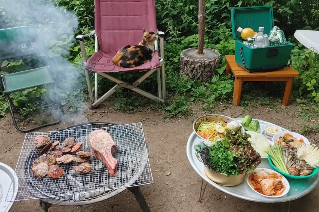 지락이의 뛰뛰빵빵