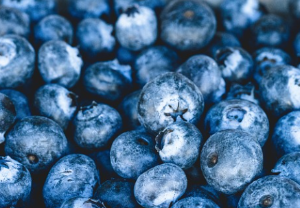  블루베리(Blueberry) 효능 및 먹는 방법