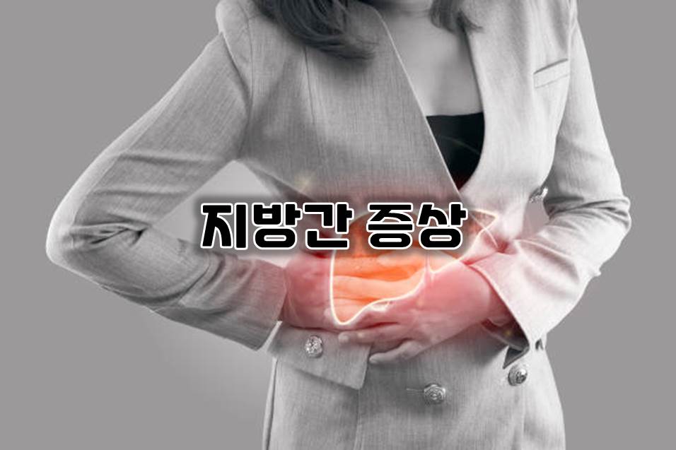  지방간 증상, 원인, 치료, 예방, 궁금증 알아두세요