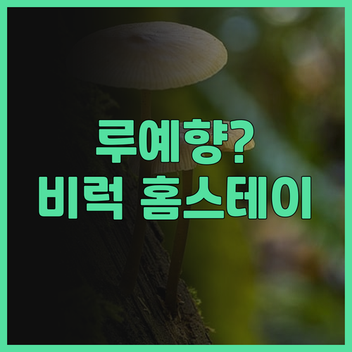 타이동 루예향 여행 필수 코스! 비럭