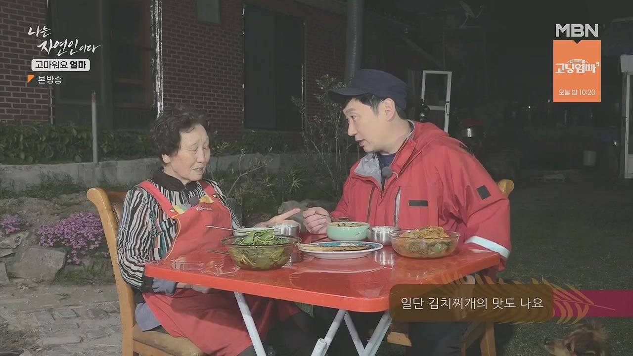 나는 자연인이다.E554.230518p.H264-F1RST.mp4_20230518_194519.272.jpg