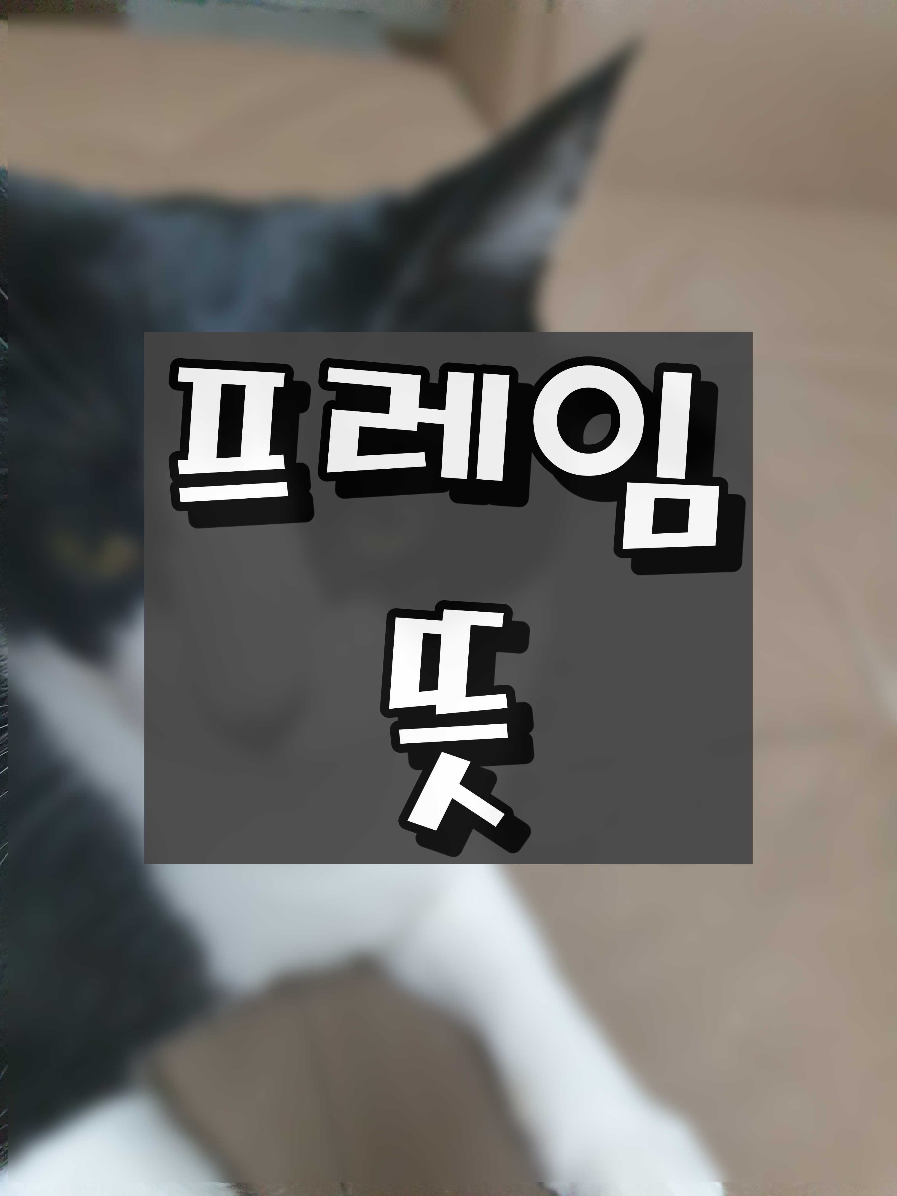  프레임 뜻을 알아봐요