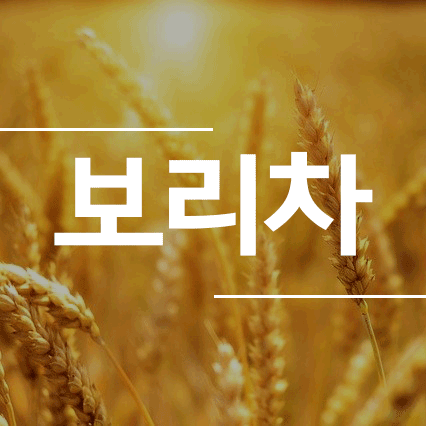 보리차효능