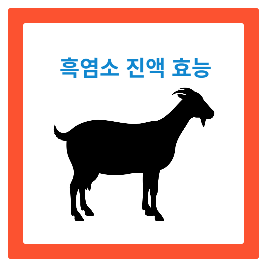  흑염소 진액 효능과 올바른 섭취법 알아보기