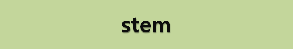  뉴스로 영어 공부하기: stem (저지하다)