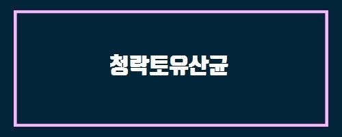  청락토유산균 And 달밤라떼