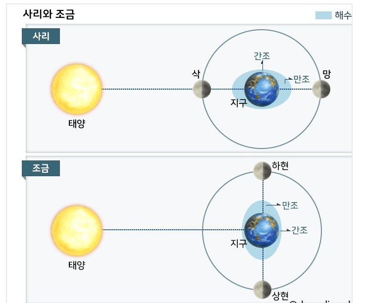 사리와 조금