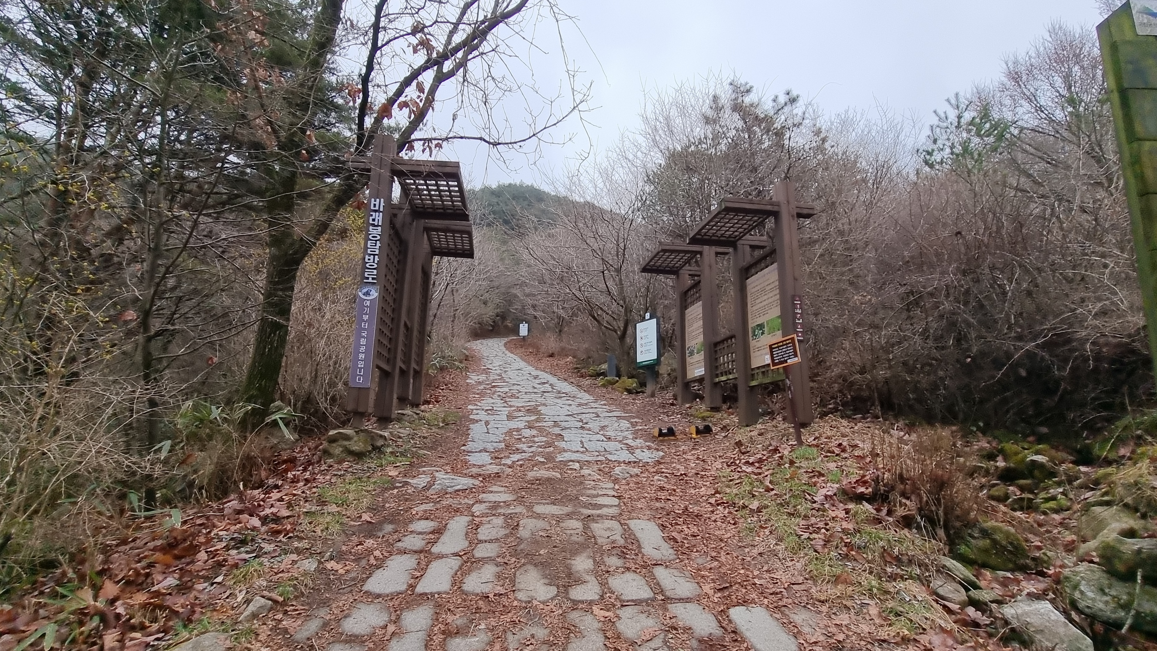 블랙야크 100대 명산, 지리산 바래봉 용산주차장(허브밸리) 원점회귀 최단코스 - BAC100대 명산, 지리산 바래봉 - 🥾 등산시작 블랙야크 100대 명산, 지리산 바래봉 용산주차장(허브밸리) 원점회귀 최단코스 - BAC100대 명산, 지리산 바래봉 - 🥾 등산시작