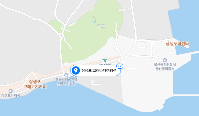울산 가볼만한 곳, 장생포 고래문화특구 BEST5 (+ 고래문화마을 고래박물관 모노레일 등 꿀팁 대방출)