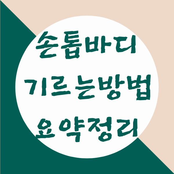 손톱 바디 기르기 네일샵처럼 쉽게 따라하는 방법 5가지 손톱 바디 기르기 네일샵처럼 쉽게 따라하는 방법 5가지