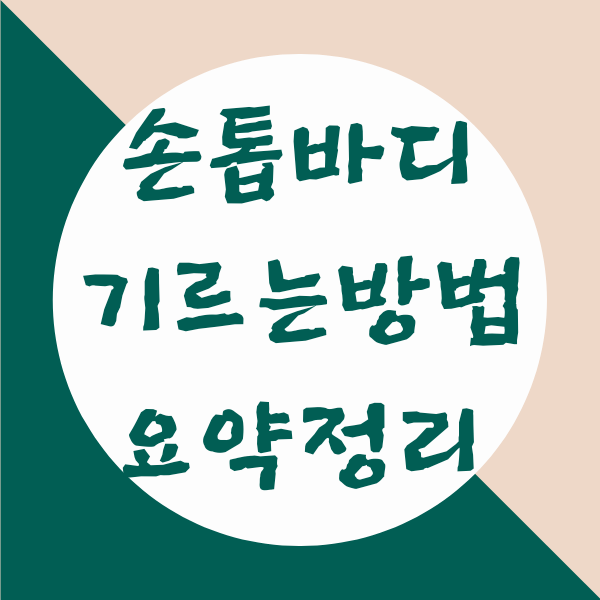 손톱 바디 기르기